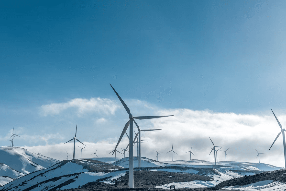 Momentum Energy